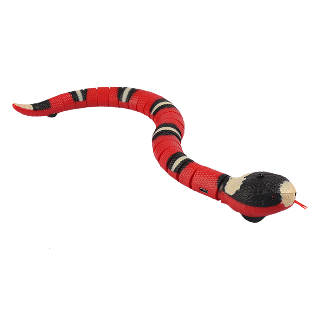 FunSnake™ | Houdt je huisdier gezond!