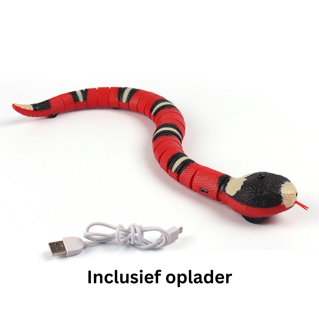 FunSnake™ | Houdt je huisdier gezond!