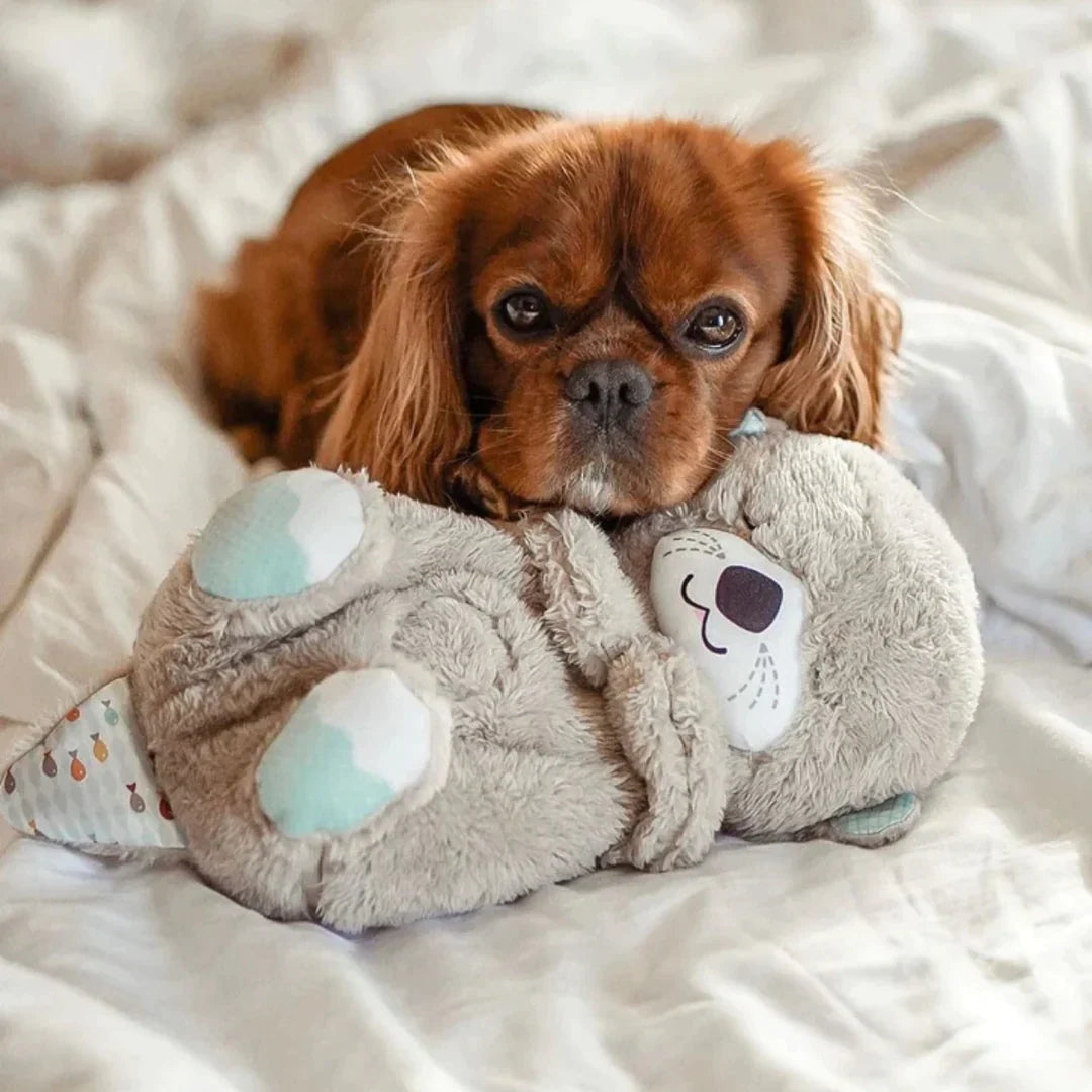 Calming Friend™ - Verminder angst & Verbeter slaap