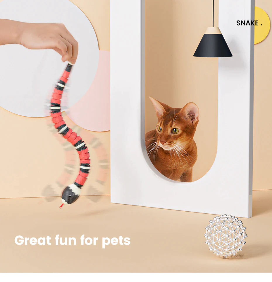 FunSnake™ | Houdt je huisdier gezond!