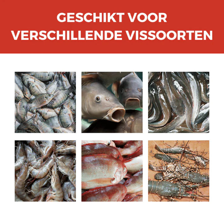 Rode VisMagneetâ„¢ | Krachtig vislokmiddel voor de ultieme vangst