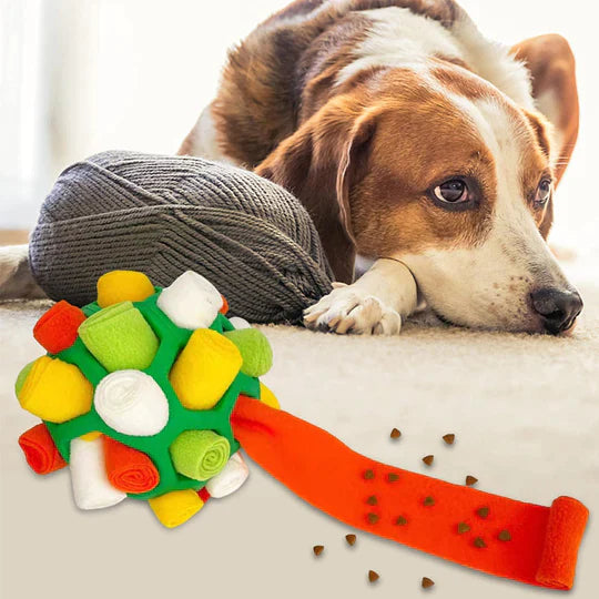 Snuf&Snack Bal™ - Speelplezier en smullen voor je viervoeter!