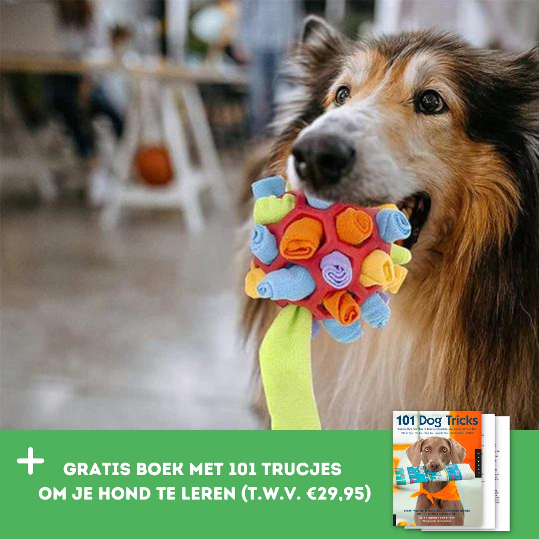 Snuf&Snack Bal™ - Speelplezier en smullen voor je viervoeter!