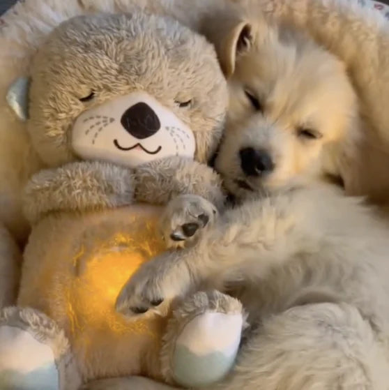 Calming Friend™ - Verminder angst & Verbeter slaap