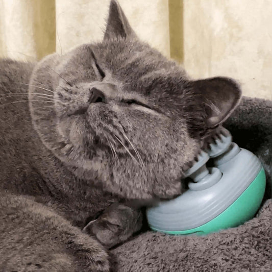Deluxe Massager™  - Pure ontspanning voor jou en je huisdier